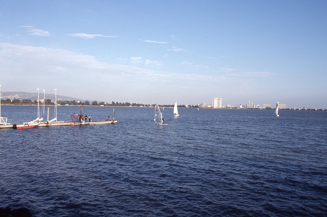 boat sailing on body of water, Berkeley Marina