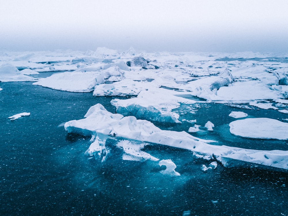 bird's-eye view of icebergs