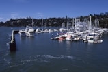 A marina filled with numerous boats docked along a series of piers. The water is a deep blue with subtle ripples, reflecting the clear blue sky above. In the background, lush greenery and hillside houses are visible, providing a serene and picturesque backdrop.