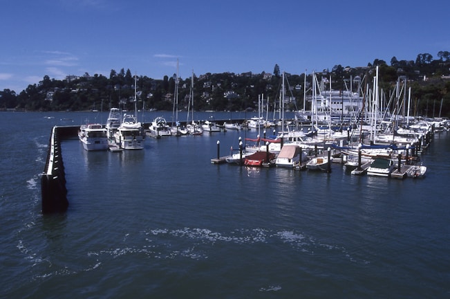 A marina filled with numerous boats docked along a series of piers. The water is a deep blue with subtle ripples, reflecting the clear blue sky above. In the background, lush greenery and hillside houses are visible, providing a serene and picturesque backdrop.