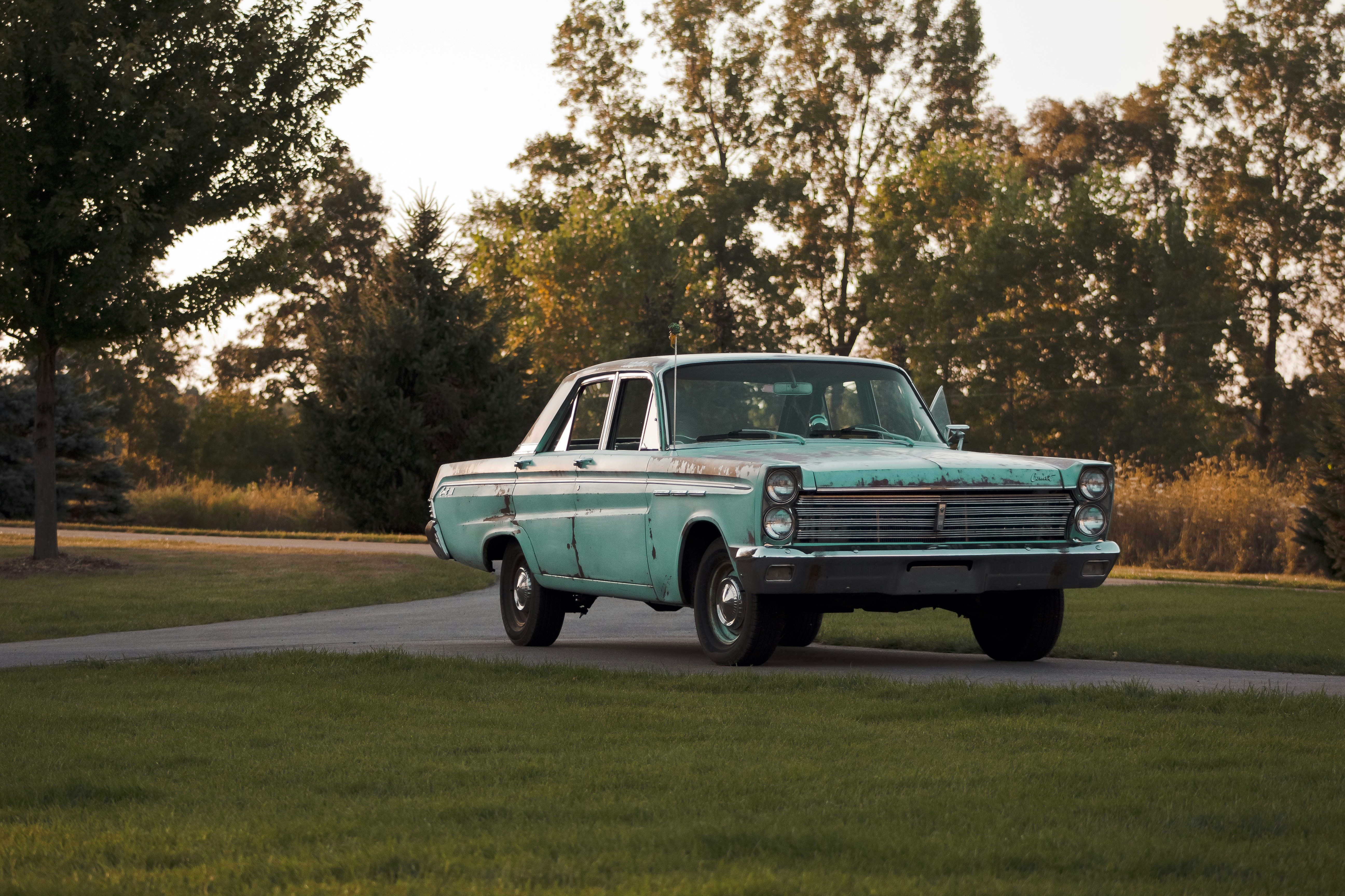 Rusty Teal