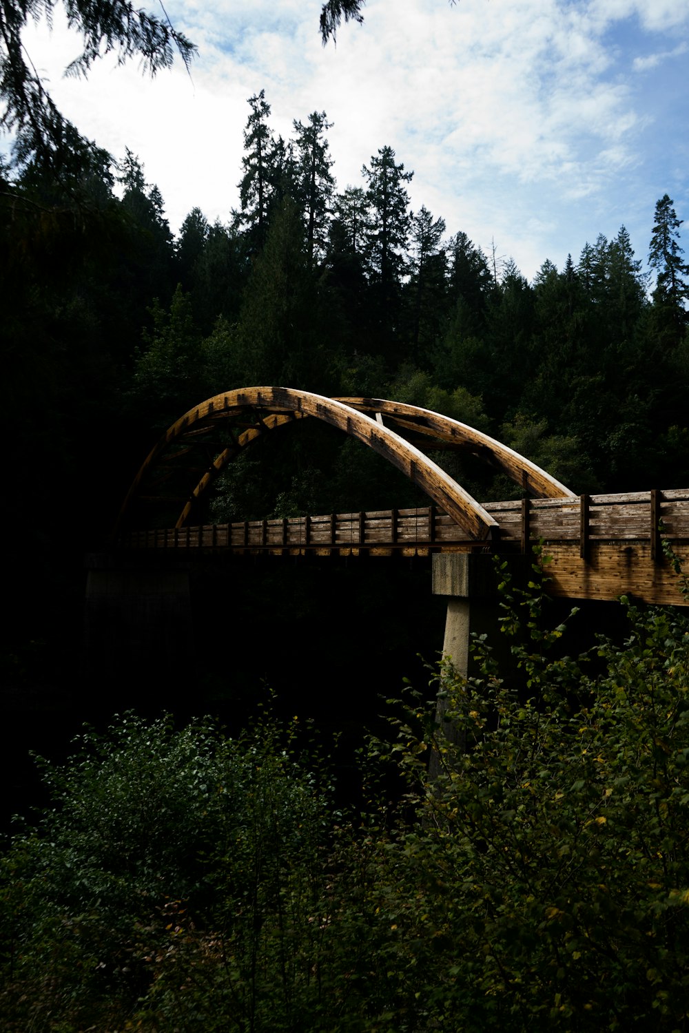braune Holzbrücke in der Nähe von Grünpflanzen