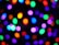 bokeh background