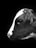 A black and white image of a calf's head, with clear focus on its eye and fur texture against a dark background.