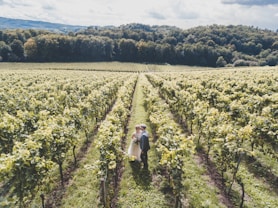 bride and groom standing on grass field