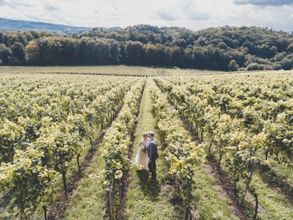 bride and groom standing on grass field