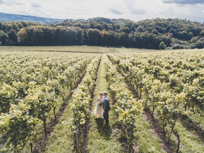 Couple enjoying a wine tasting in a rustic vineyard near Luberon.