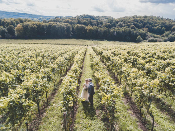 A serene, soft-lit portrait of a couple sharing a quiet moment in a sun-dappled Niagara vineyard.