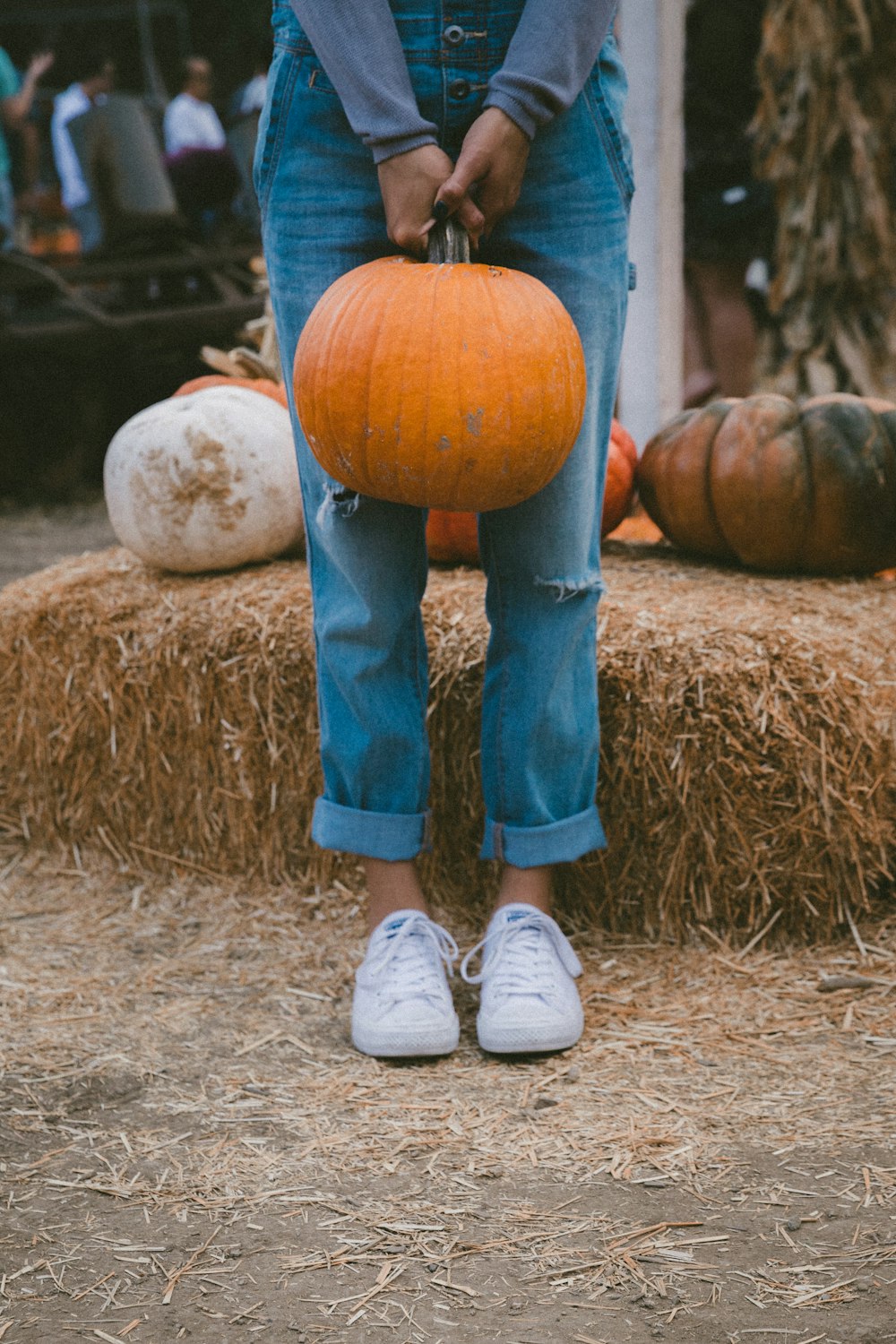 woman carrying pumpkin while standing beside hay