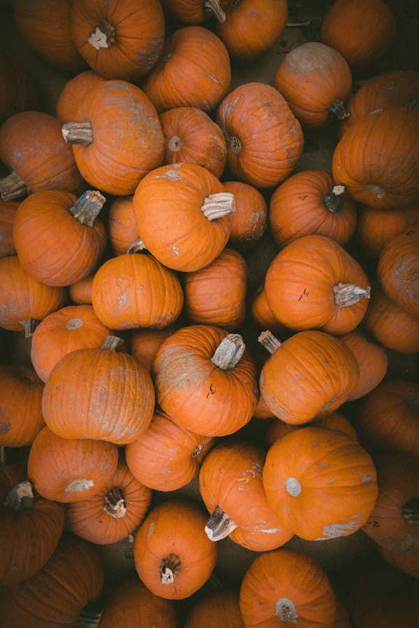 Squash lot