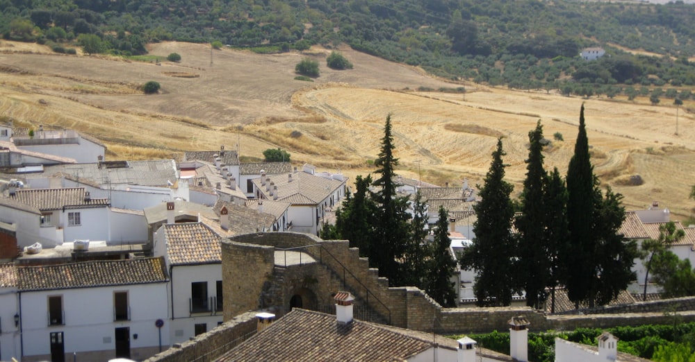 Foto di casa sugli alberi vicini