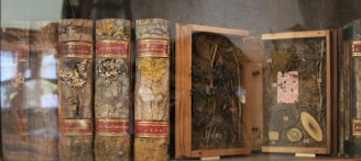 Several antique books with textured, rustic covers are displayed alongside wooden cases containing botanical specimens. The spines of the books have decorative red labels, while the specimens in the open cases appear to be pressed leaves and other plant materials.