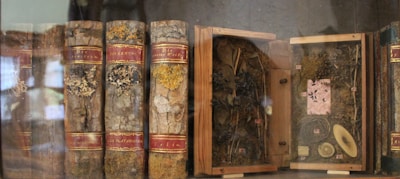 Several antique books with textured, rustic covers are displayed alongside wooden cases containing botanical specimens. The spines of the books have decorative red labels, while the specimens in the open cases appear to be pressed leaves and other plant materials.