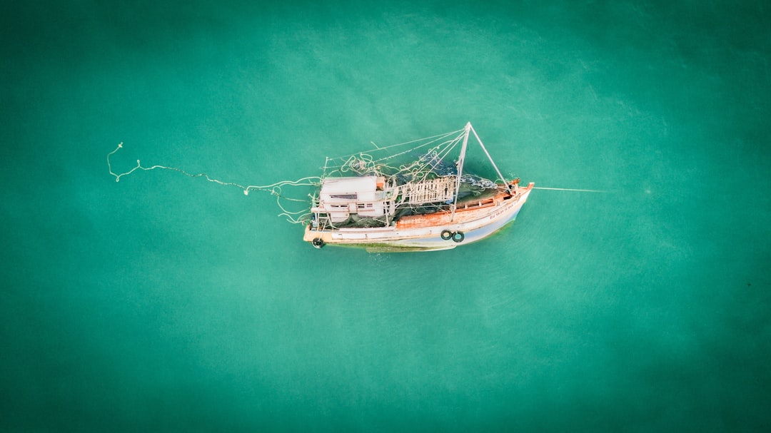 white sail boat on water