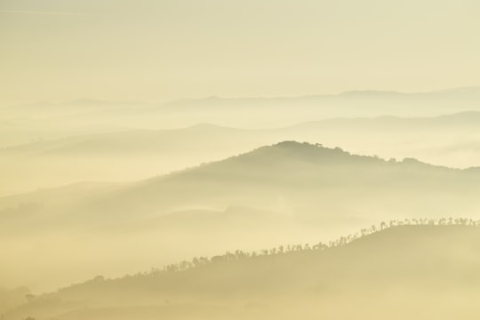 landscape photography of mountains during foggy day in Montescudaio Italy