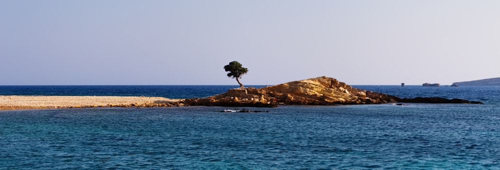 island surrounded by body of water