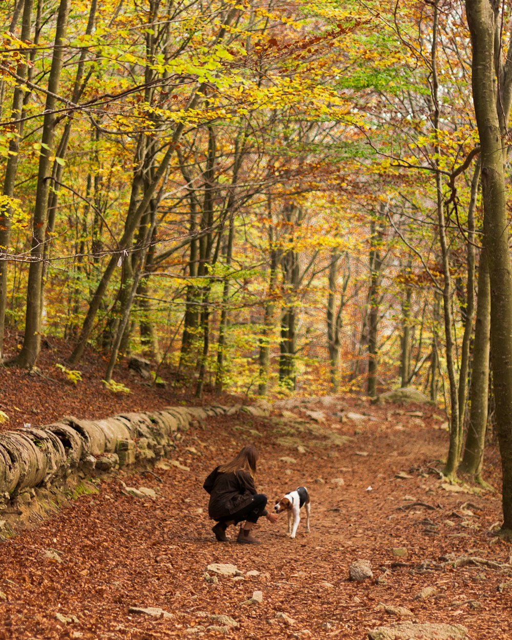 Mulher brincando com cachorro tricolor na floresta