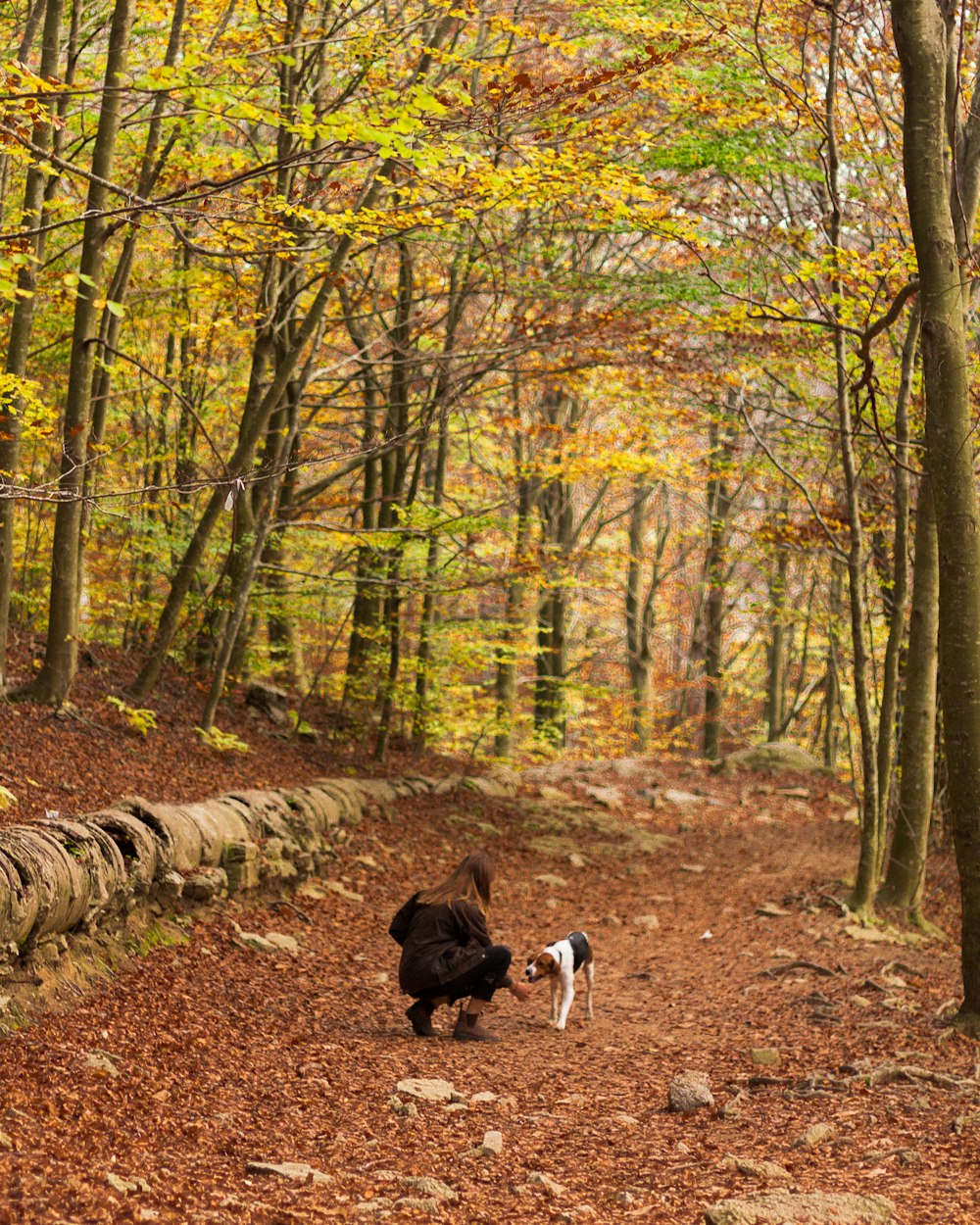 Donna che gioca con il cane tricolore nella foresta