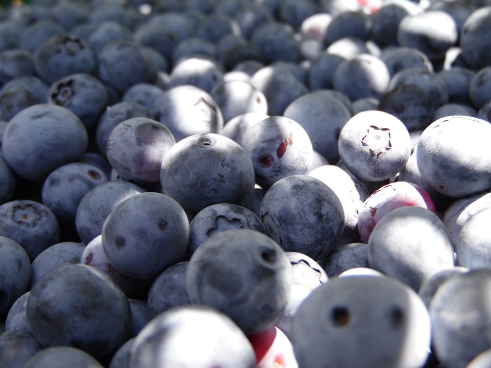 bunch of blueberries