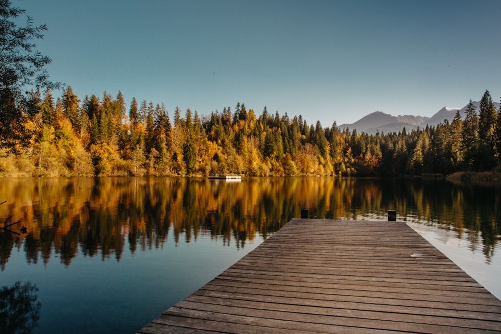 wooden dock over body of water