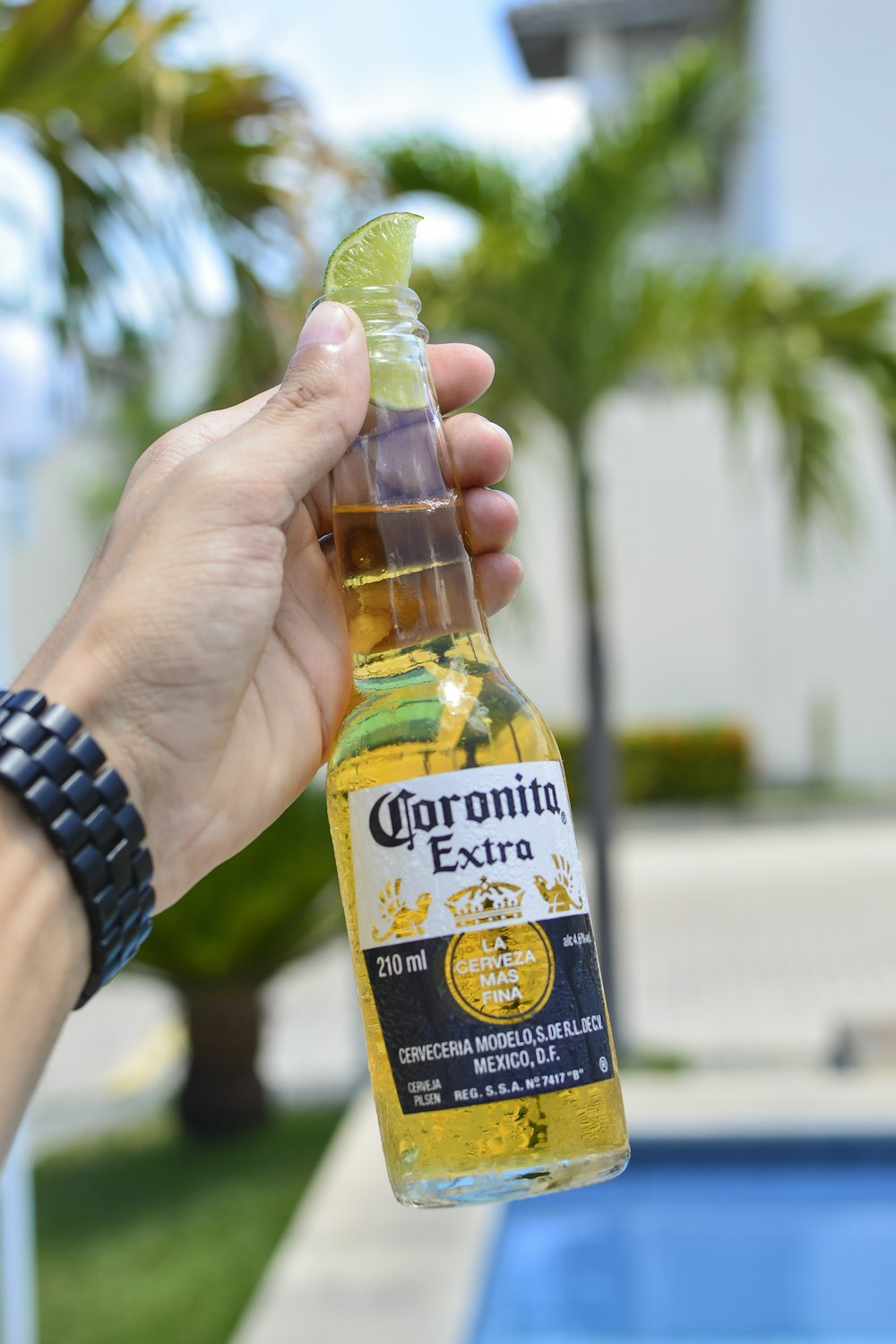 personne tenant une bouteille de Coronita Extra