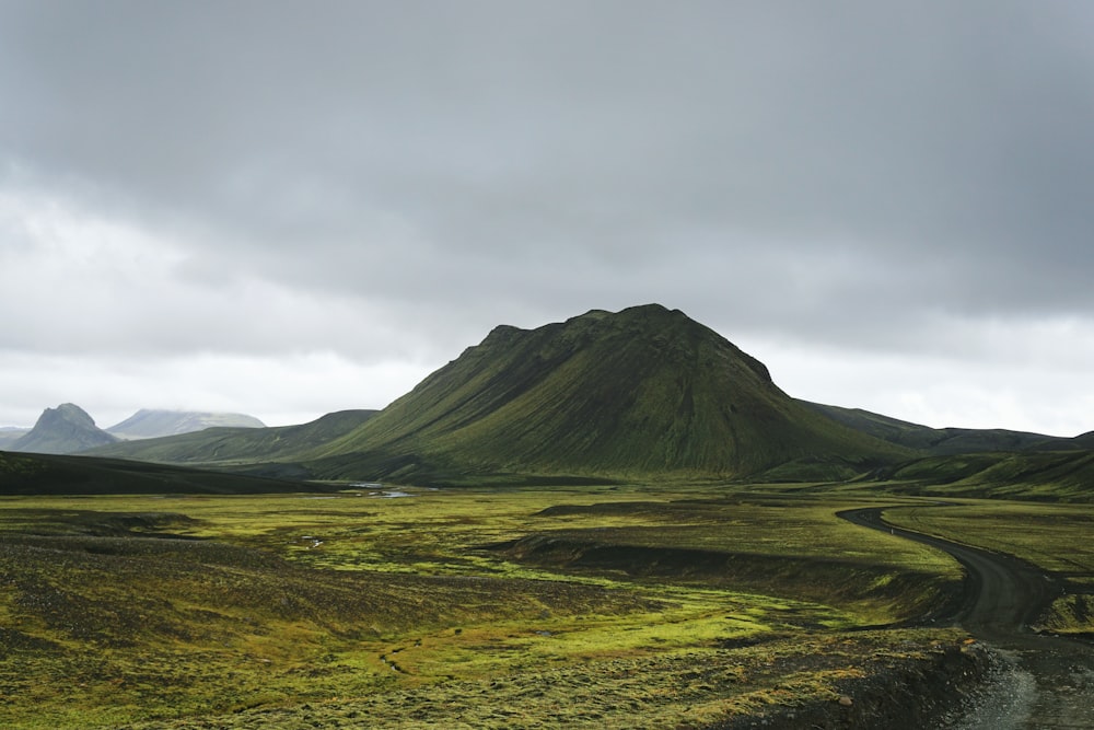 trees covered mountain