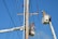 Two utility workers in safety gear are using bucket trucks to work on a power line. The sky is clear and blue, providing a backdrop to the scene. Both workers are elevated in their respective buckets, focusing on tasks related to the maintenance or repair of the electrical infrastructure.