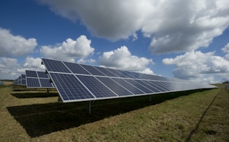 solar panels on green field