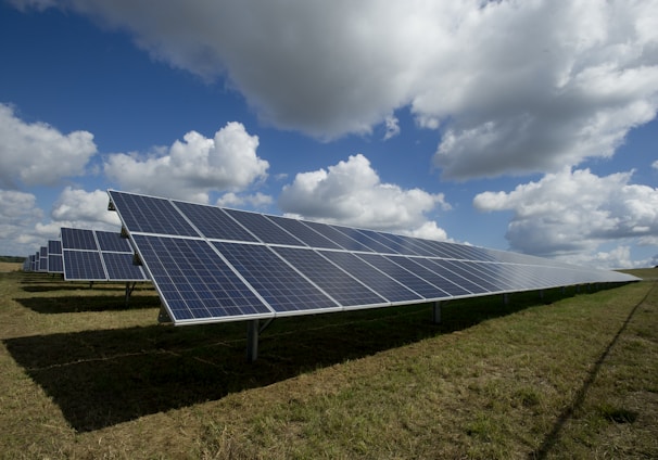 solar panels on green field