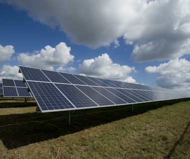 solar panels on green field