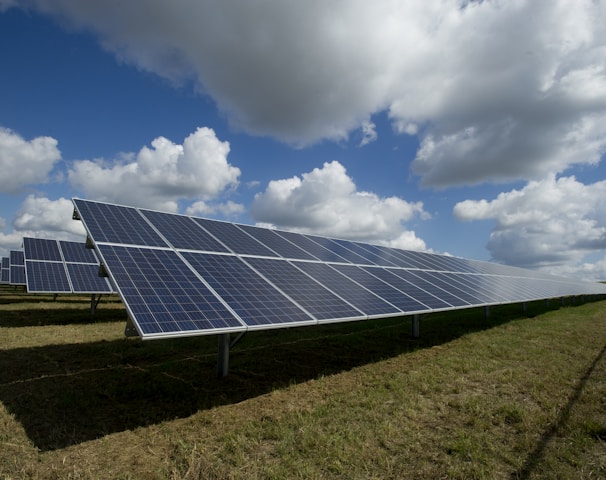 solar panels on green field