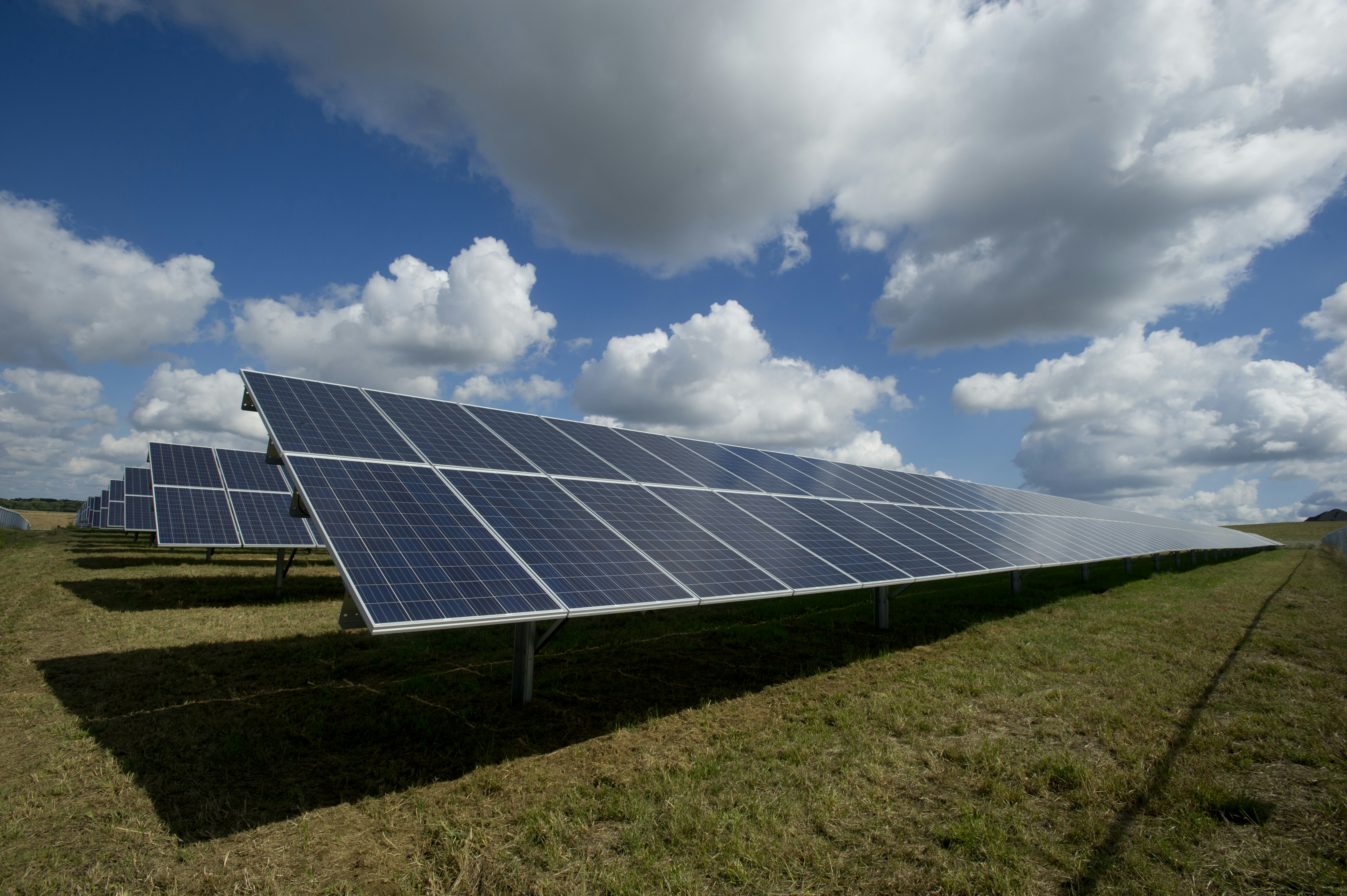 A field of solar panels under a blue sky