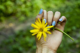 Close-up of hands with freshly painted nails holding a flower.