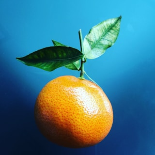A vibrant orange mandarin with two green leaves attached, set against a smooth blue background, showcasing the fruit's glossy texture and natural color contrast.