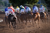 A close-up of a horse race in action, with jockeys urging their horses forward on a sunny day.