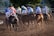 A group of jockeys riding on horses are racing on a dirt track. Their colorful uniforms create a vivid display against the backdrop of the racecourse. Dust is being kicked up by the horses' hooves, suggesting speed and movement.
