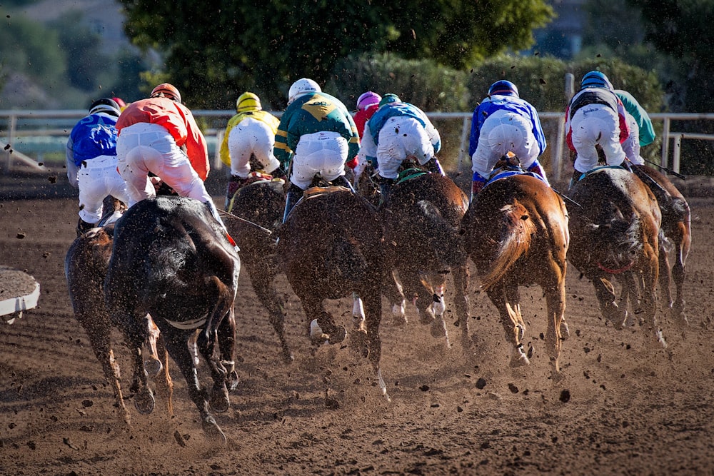 group of men riding horses near tree during daytime