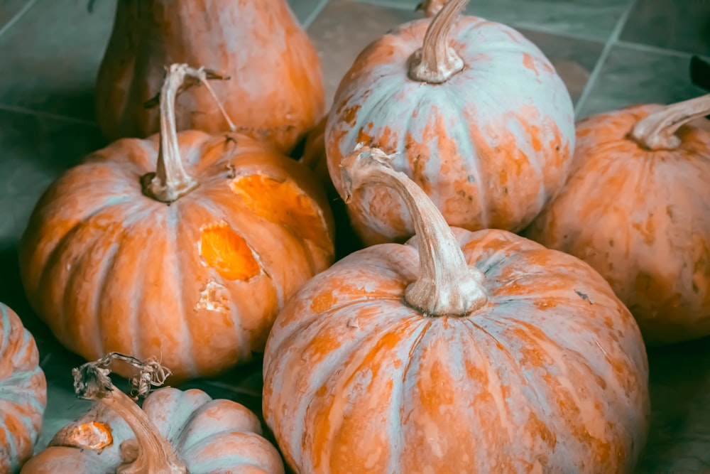 shallow focus photography of squashes