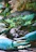 Close-up of a vibrant blue sea crab freshly caught, glistening with moisture.