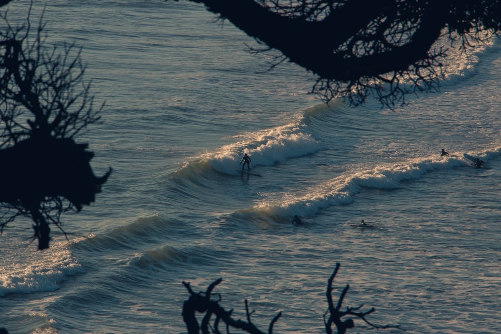 person riding surfboard on body of water