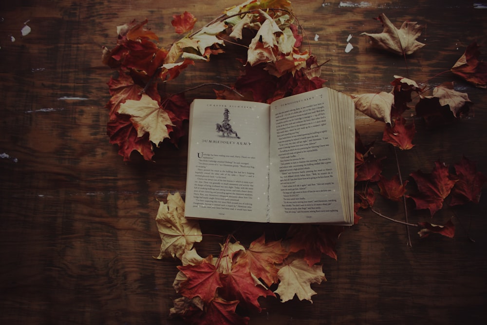 Livre ouvert entouré de feuilles d’érable sur une surface brune