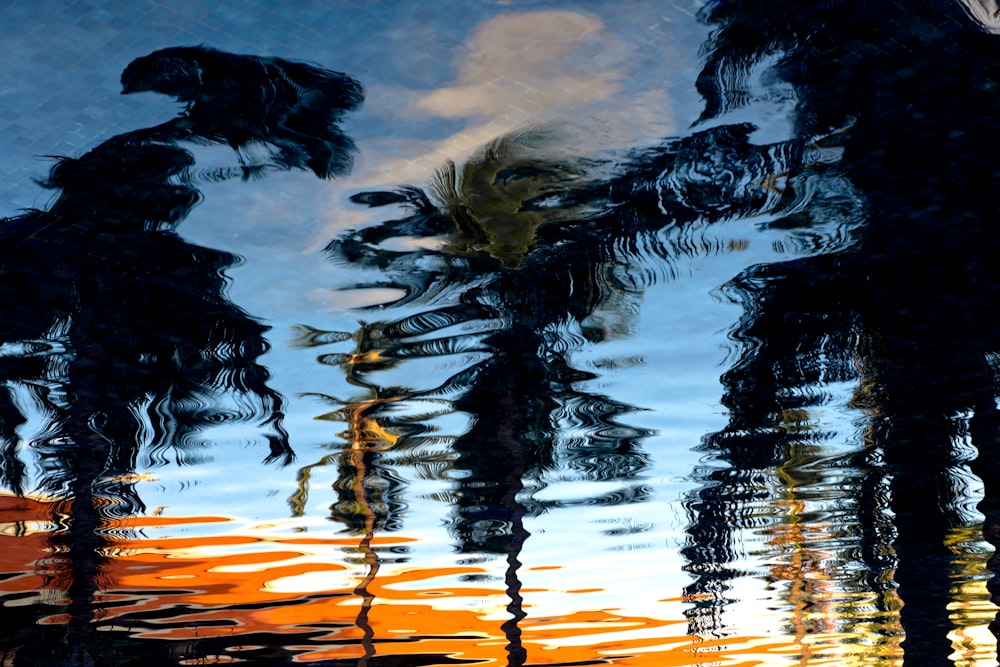 reflection of palm trees on body of water