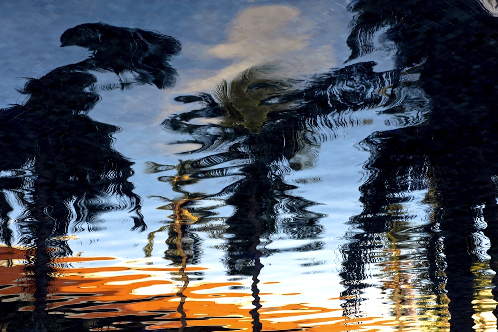 reflection of palm trees on body of water