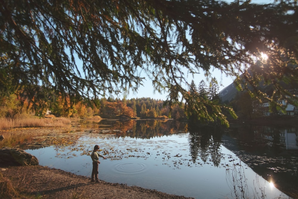 person standing between tree and body of water