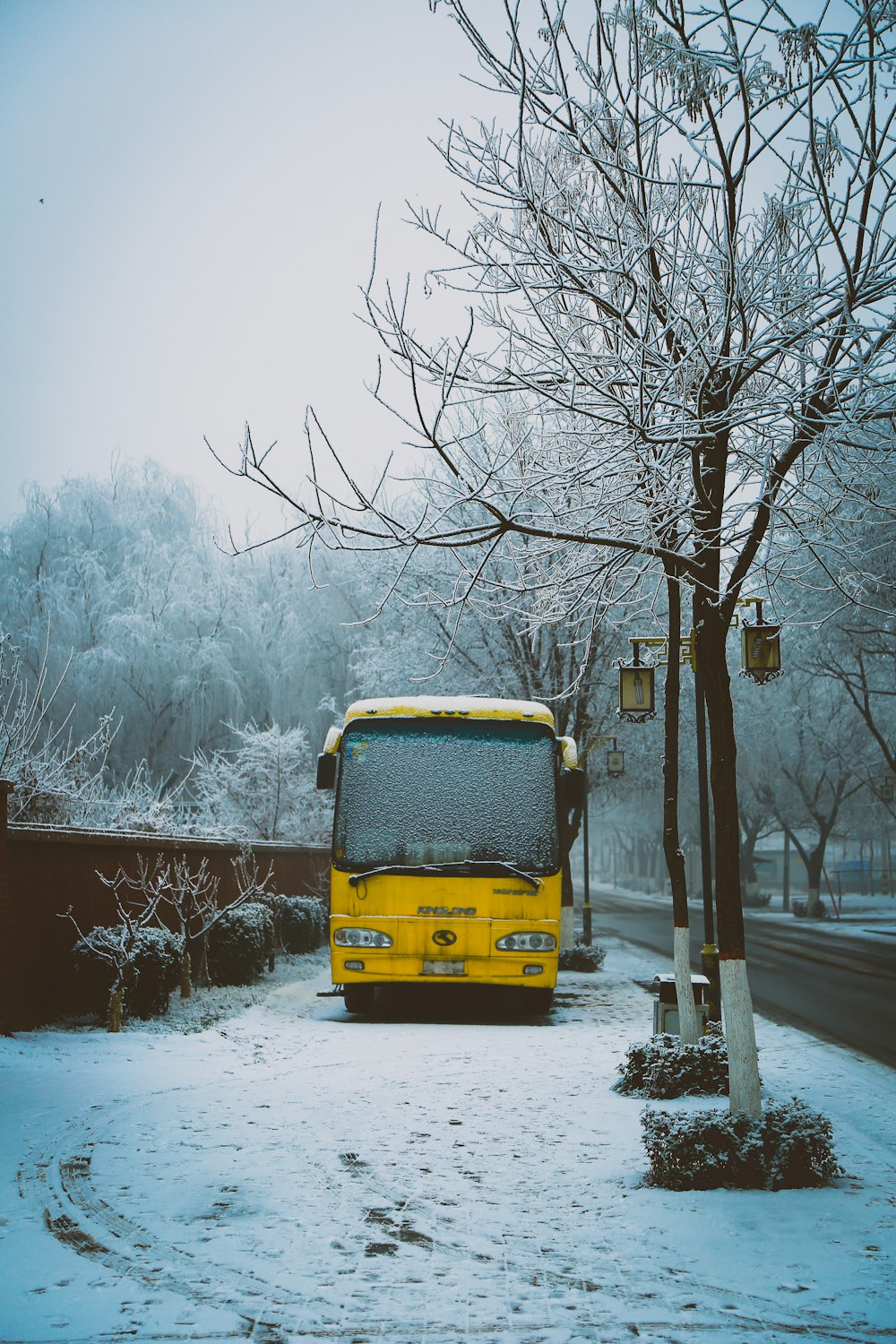 photo of yellow bus on sidewalk