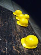 safety at work