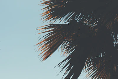 Bright, gentle light radiating from palms over a serene natural background.