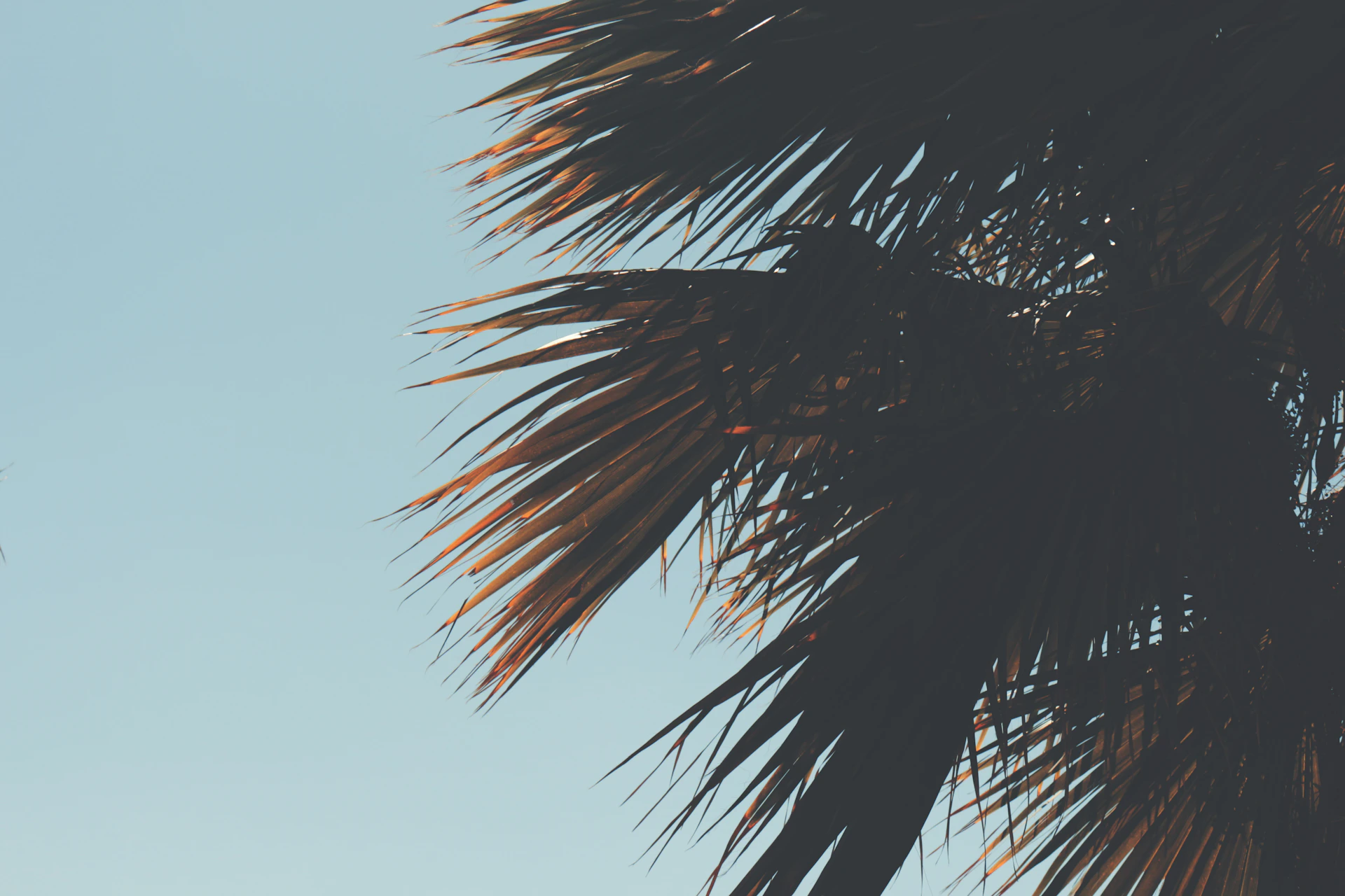 gray computer monitor