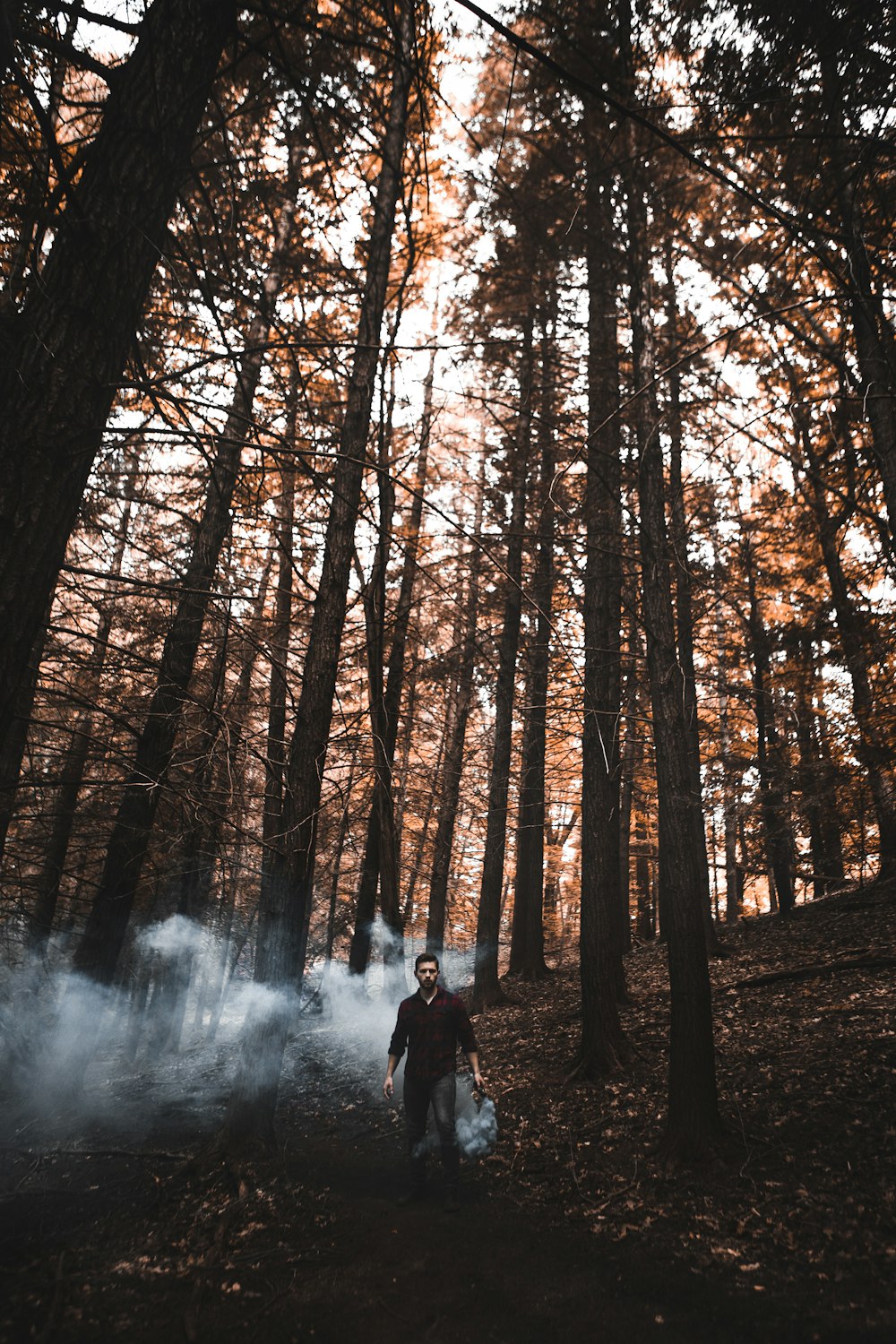 man standing at forest