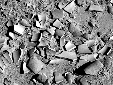 A detailed excavation site showing ancient pottery shards uncovered by Prof. Durman's team.